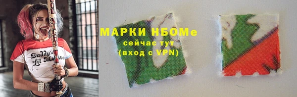 прущий лед Новозыбков