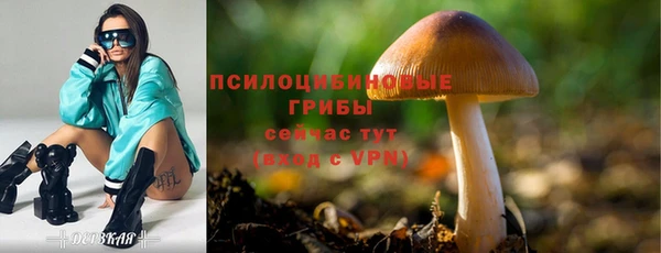 мдпв Новокубанск