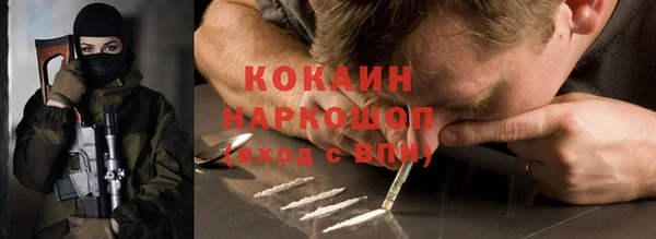 прущий лед Новозыбков