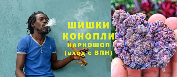 прущий лед Новозыбков