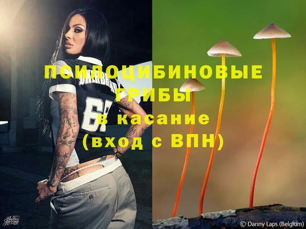 мдпв Новокубанск