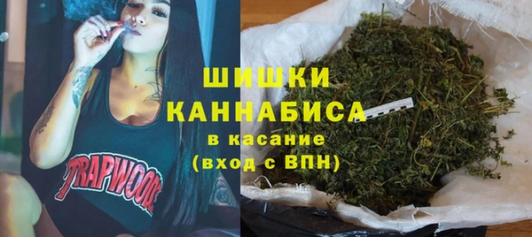 прущий лед Новозыбков