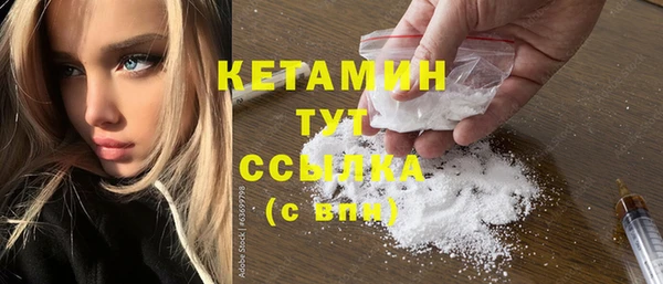 прущий лед Новозыбков