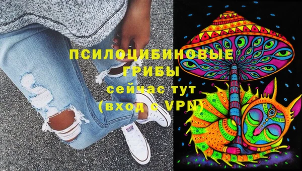 не бодяженный Няндома