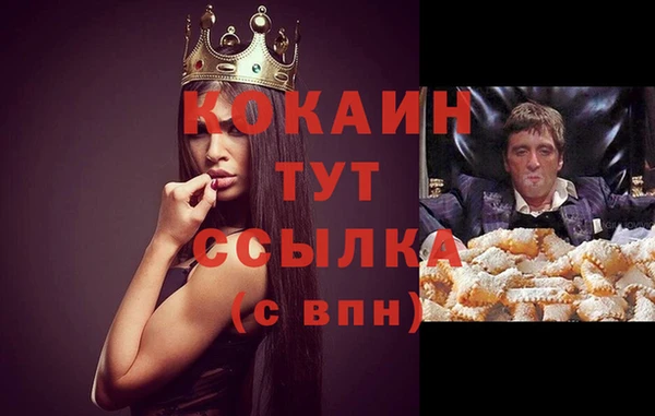 прущий лед Новозыбков