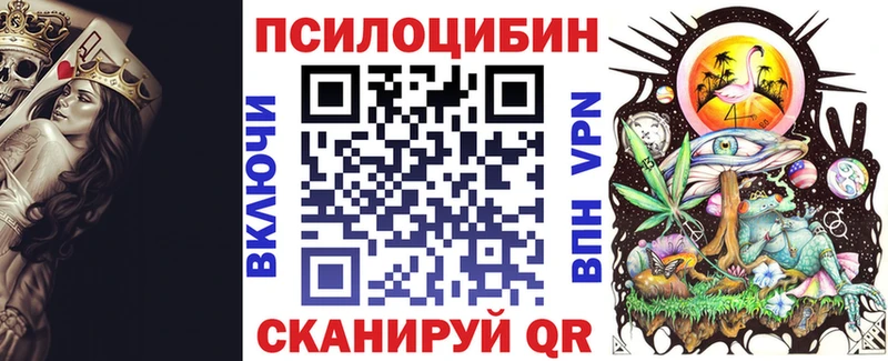 магазин продажи наркотиков  kraken ТОР  Псилоцибиновые грибы Magic Shrooms  Клинцы 