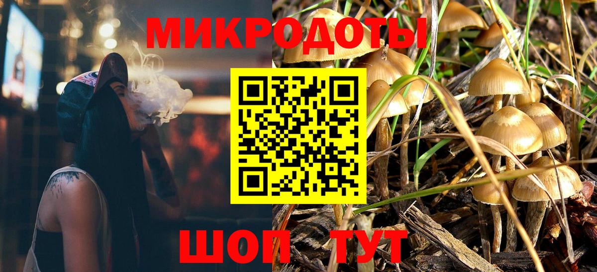 Клинцы  Псилоцибиновые грибы Cubensis  Псилоцибиновые грибы GOLDEN TEACHER  Вход с VPN 