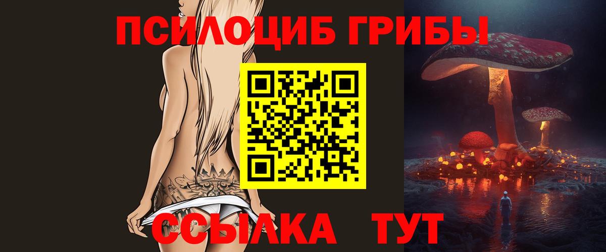 Псилоцибиновые грибы GOLDEN TEACHER Клинцы